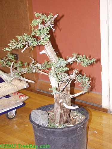 2002Betsuin 096.jpg